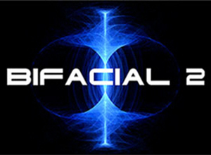 DIY Bifacial Solar Panels